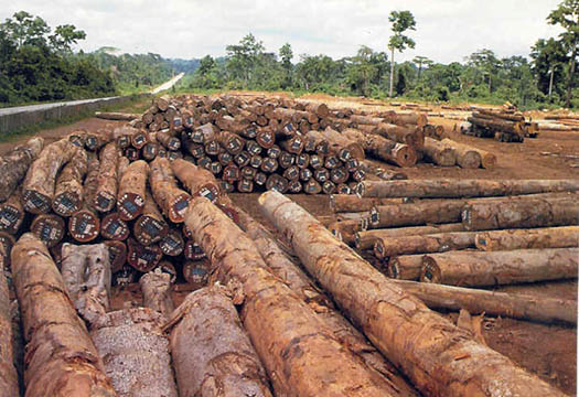 2015_June_Africa1.jpg