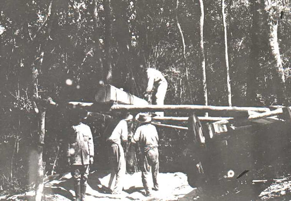 April_2022_-_The_Cape_sawlog_PINCH_2.jpg