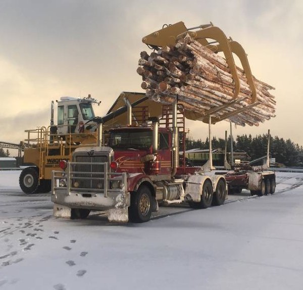 Aug_2016_-_Tasmanian_forest_industry_finally_rebounding_-_Large.jpg
