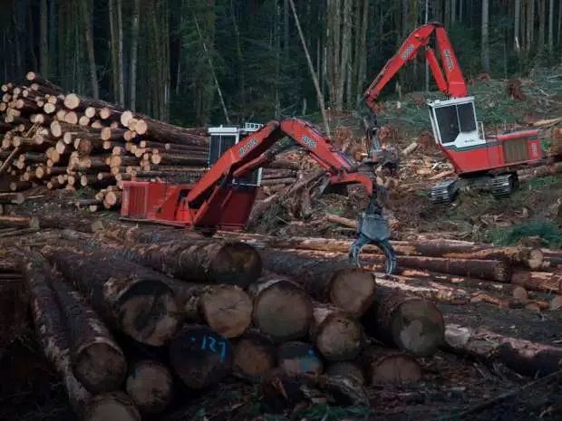 July_2016_-_Canada_sawmills.jpg
