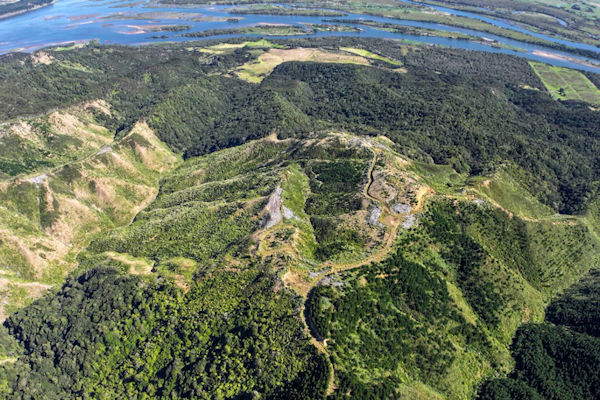 July_2025_-_NZ’s_timber_industry_braces_for_tough_times.jpg