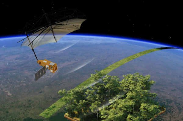 July_2025_-_‘Space_Brolly’_Returns_the_First_Striking_Images_of_Earth’s_Forests_1.jpg