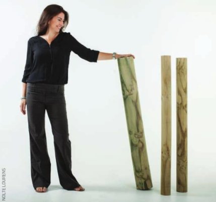 June_2019_-_Ensuring_your_timber_-_Large.jpg