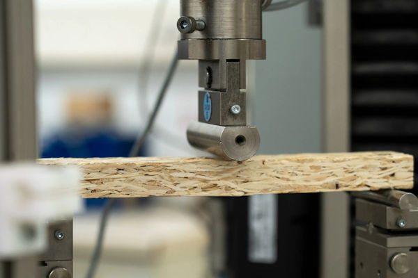 June_2025_-_Scrimber_Roars_Back_—_Start-Up_to_Revive_Long_Dormant_Timber_Tech_1.jpg