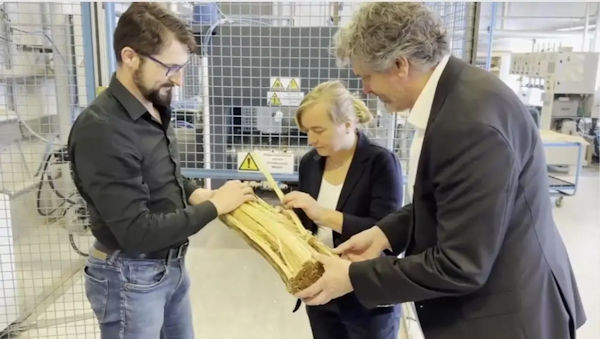 June_2025_-_Scrimber_Roars_Back_—_Start-Up_to_Revive_Long_Dormant_Timber_Tech_2.jpg