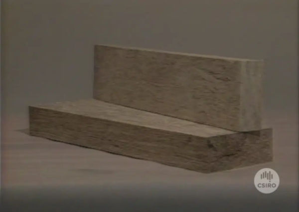 June_2025_-_Scrimber_Roars_Back_—_Start-Up_to_Revive_Long_Dormant_Timber_Tech_3.jpg