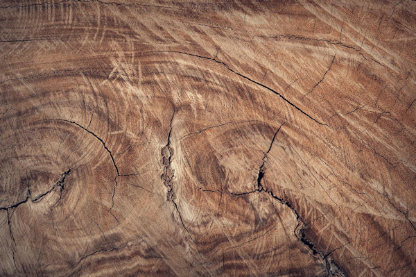 March_2025_-_Why_Federal_Timber_Won’t_Solve_the_US_Lumber_Shortage__1.jpg