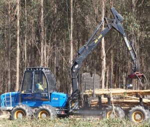 Nov_2017_-_Australian_forestry_-_Large.jpg
