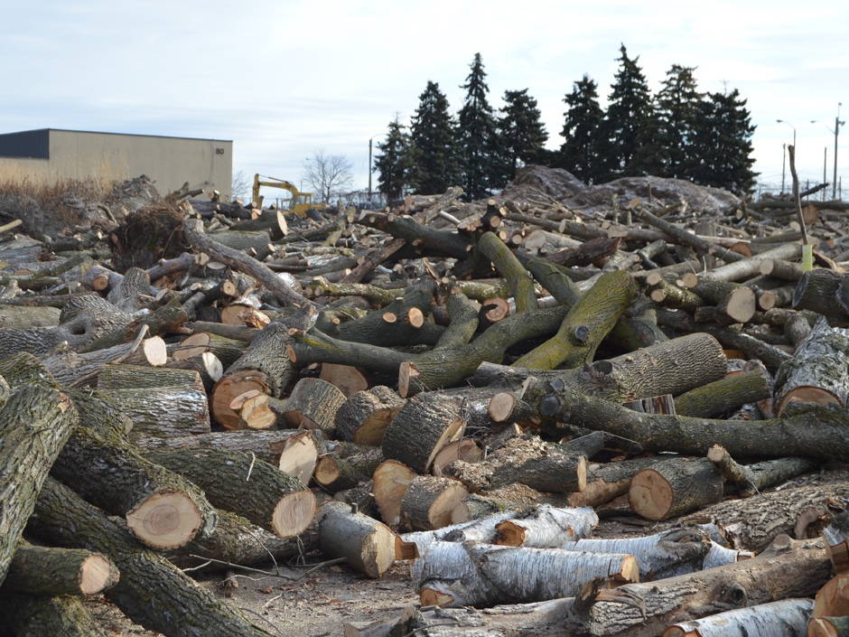 Sawmill2.jpg