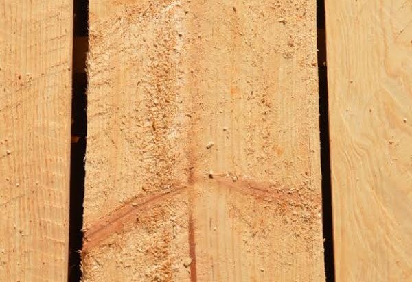 Sept_2016_-_Forestry_contractors_-_Large.jpg