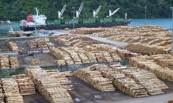 july_2016_NZ_Log_Prices_Drop.jpg
